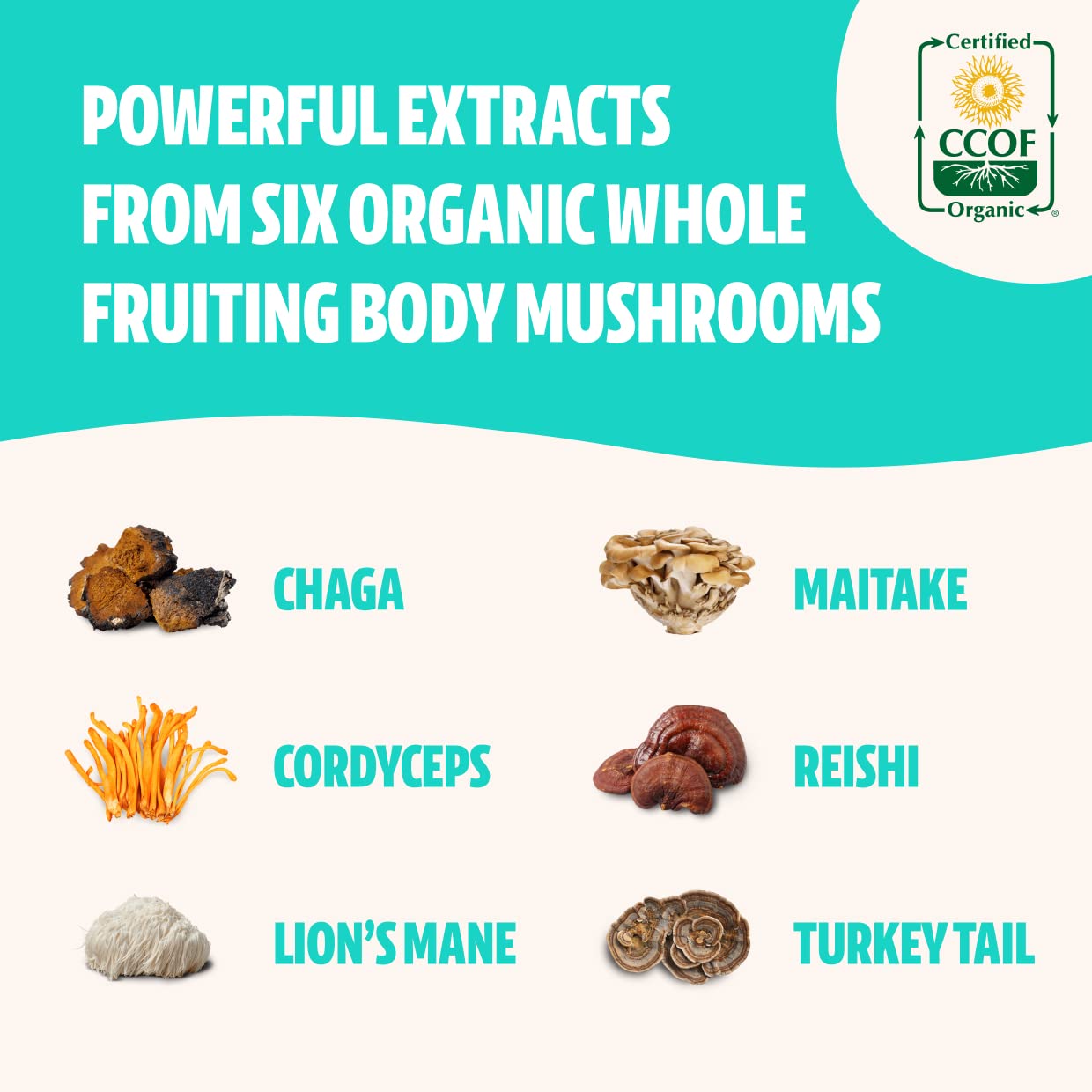 FreshCap Ultimate Mushroom Complex - Lions Mane, Reishi, Cordyceps, Chaga, Turkey Tail