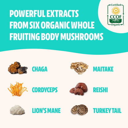 FreshCap Ultimate Mushroom Complex - Lions Mane, Reishi, Cordyceps, Chaga, Turkey Tail