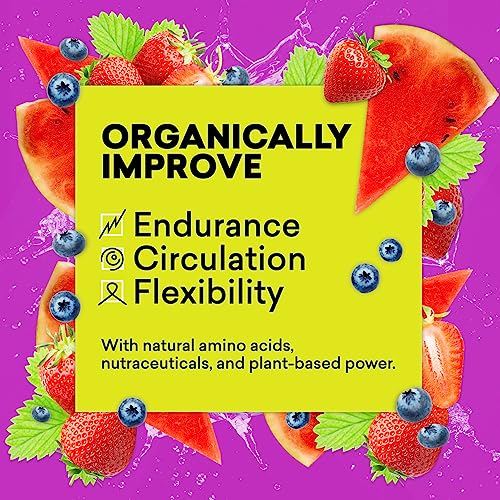 EBOOST POW Natural Pre Workout Powder - 20 Servings - Berry Melon Fizz - Pre Workout