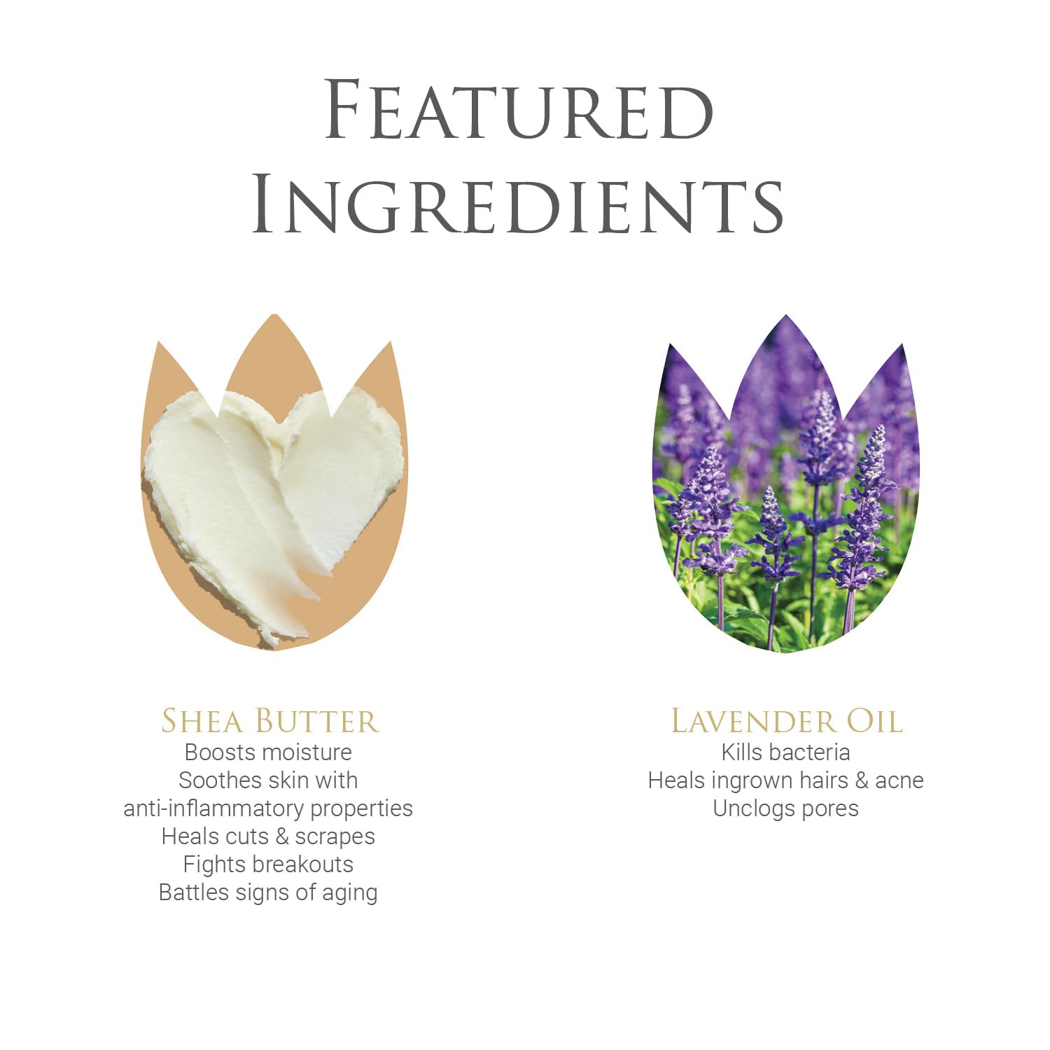 byDr.Poucher Fabulous Foam Wash for Women - pH Balanced Feminine Wash - Gentle, Natural Vulva byDr.Poucher