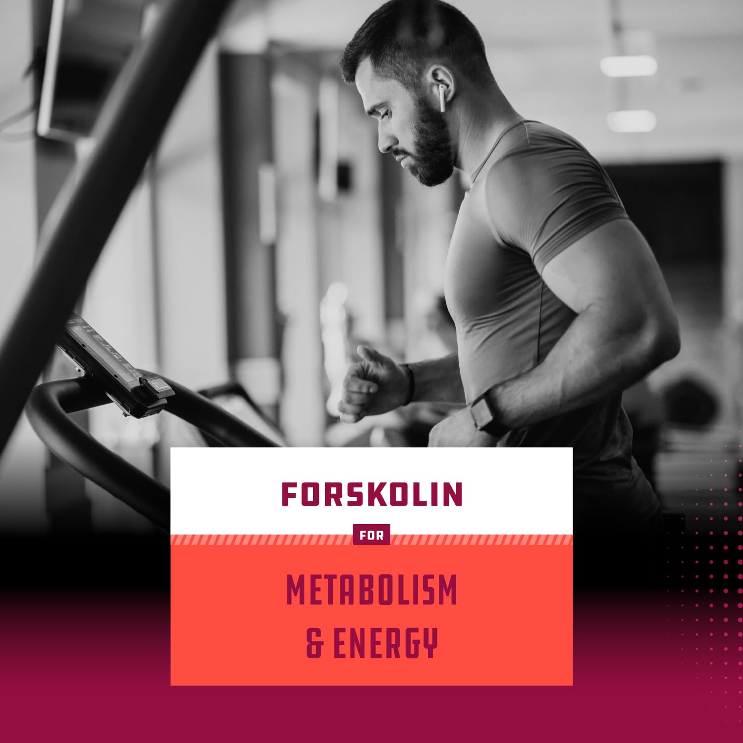 Pure Forskolin Extract - Fat Burning & Metabolism Boosting Weight Loss Supplement Natures Craft