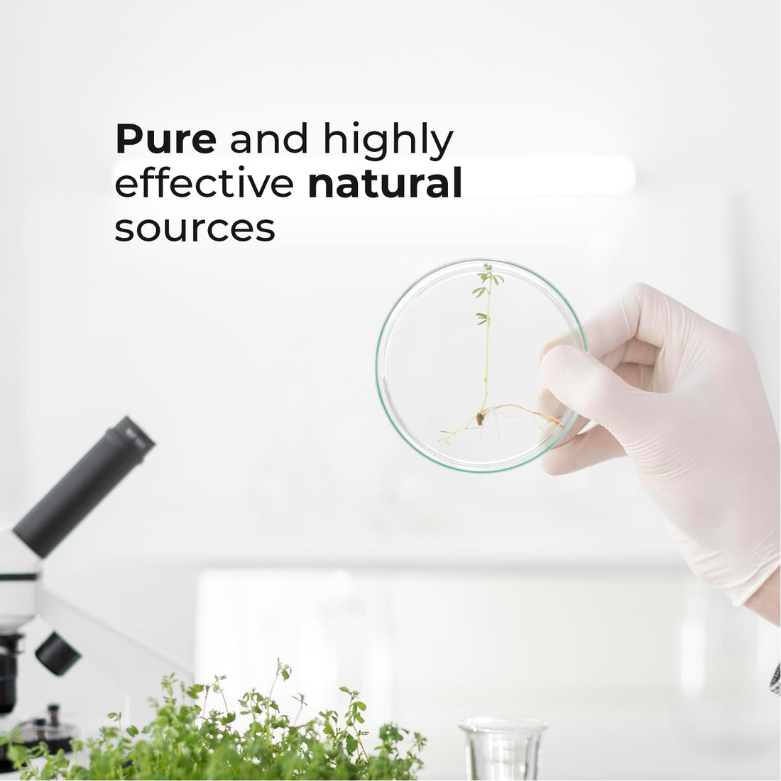 Biogenique Acai Berry Extract & Psyllium Powder, Energy Boost, Free Radical Scavenger 