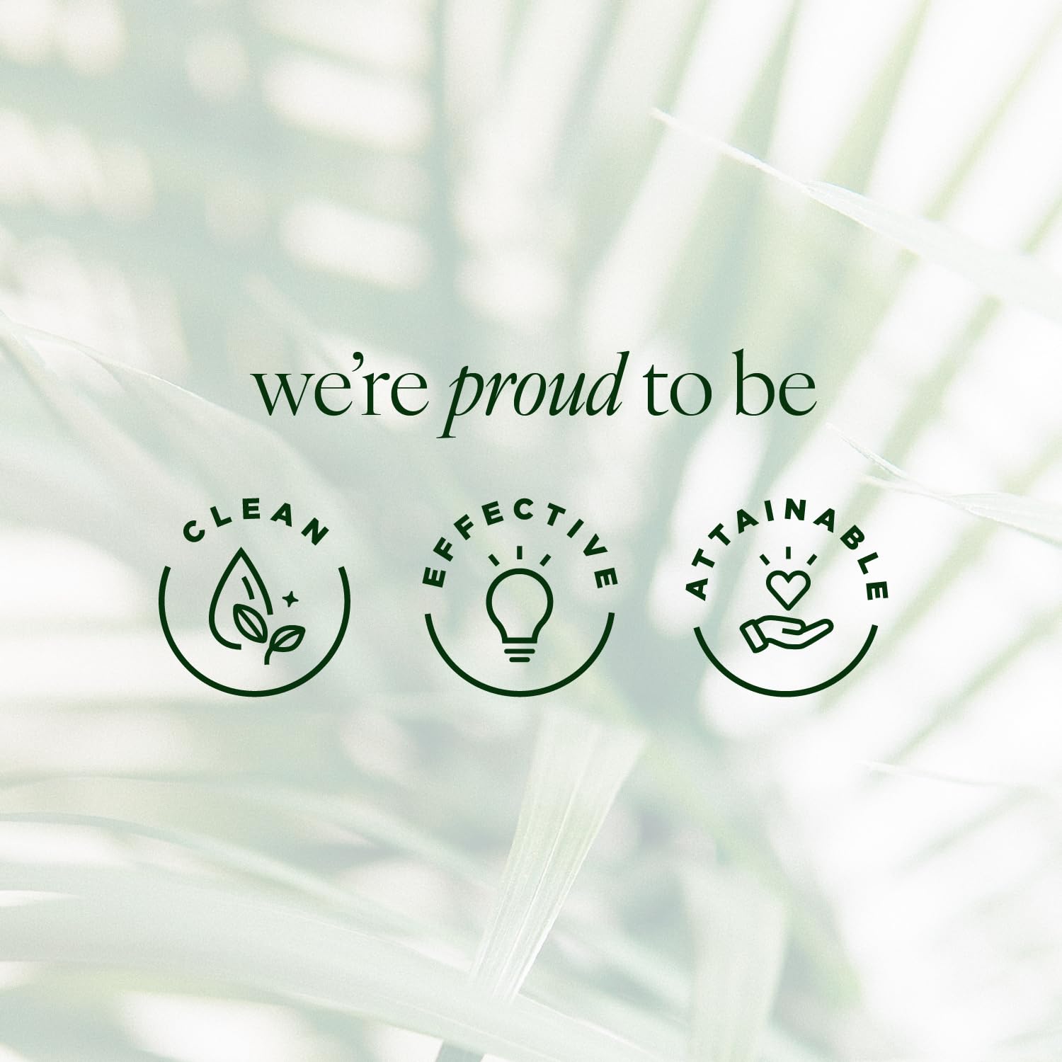 Tree of Life COMPLETE HYDRATION SERUM TRIO with Vitamin C Serum Tree of Life Beauty