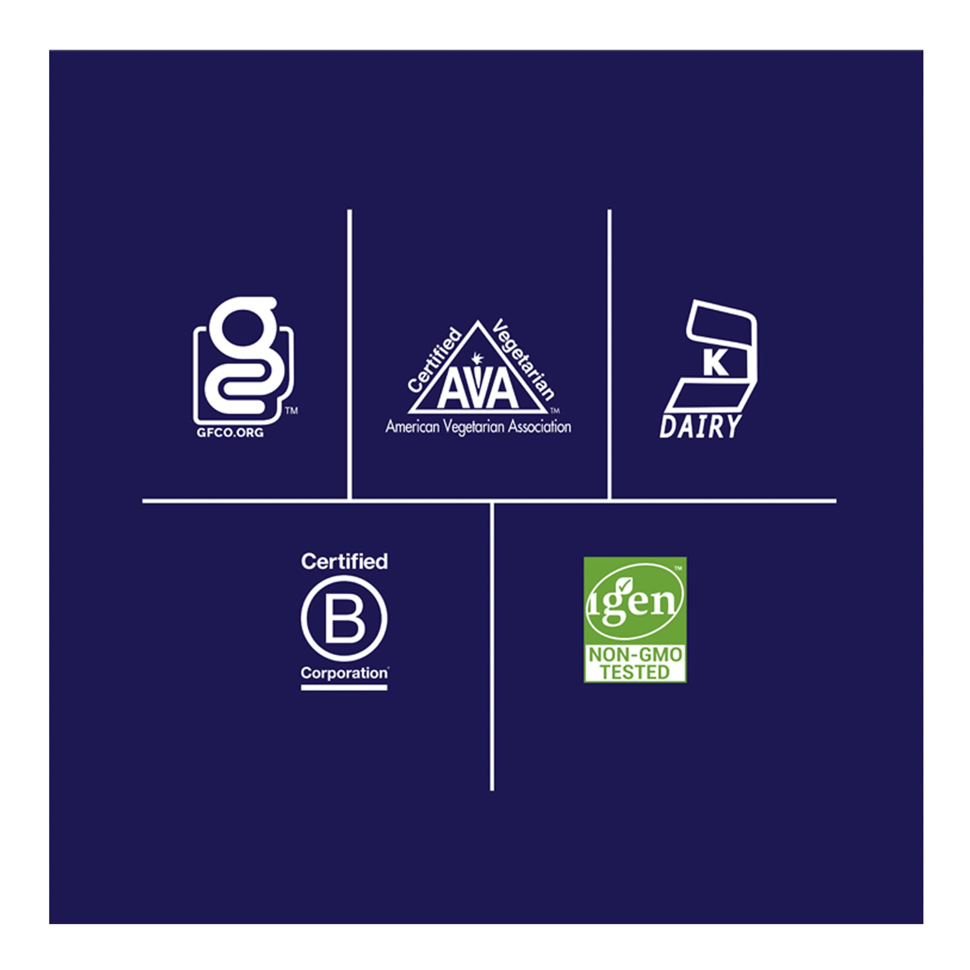 Biochem 100% Whey Sugar-Free Chocolate 20g, 12.5oz, Certified Vegetarian, Certified Glut Biochem