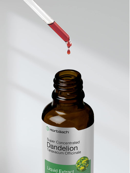 Dandelion Root Extract | 2 fl oz | Super Concentrated | Alcohol Free Liquid Tincture