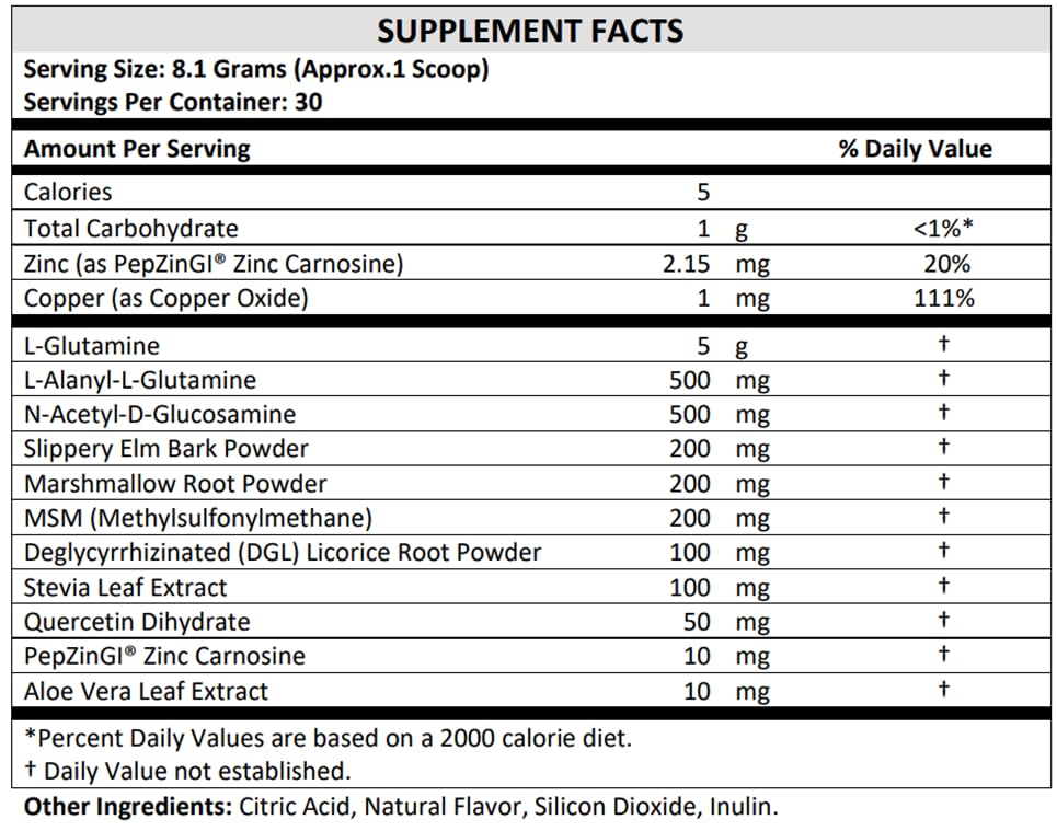 TERRA ORIGIN Healthy Gut Powder (Berry Flavor) |30-Servings with L-Glutamine, Zinc