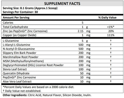 TERRA ORIGIN Healthy Gut Powder (Berry Flavor) |30-Servings with L-Glutamine, Zinc