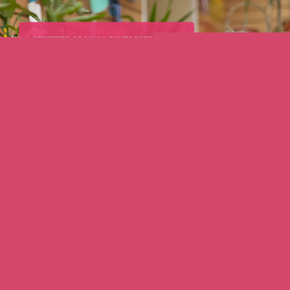 Phyto Plus Bountiful Bird Natural Progesterone Cream with Organic Phytoestrogens Phyto Plus Bountiful Bird