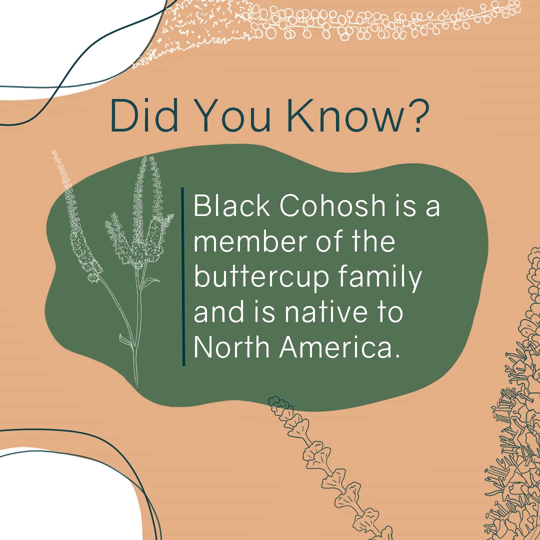 OWL Balance - Menopause Support for Women - Menopause + Perimenopause Relief OWL Balance