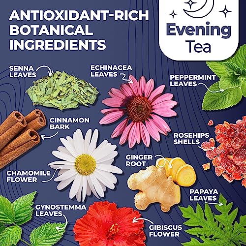 Total Tea Detox Tea & Energy Tea Set - 25 Day Detox Tea - Herbal SIim Tea