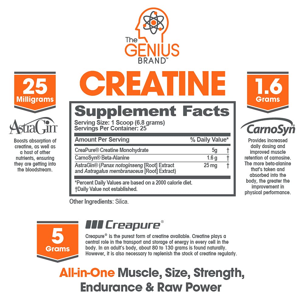 Genius Pre Workout Powder, Blue Razz, and Genius Micronized Creatine Monohydrate Powder, Unflavored, All Natural Nootropic Pre Workout and Post Workout Supplement Stack