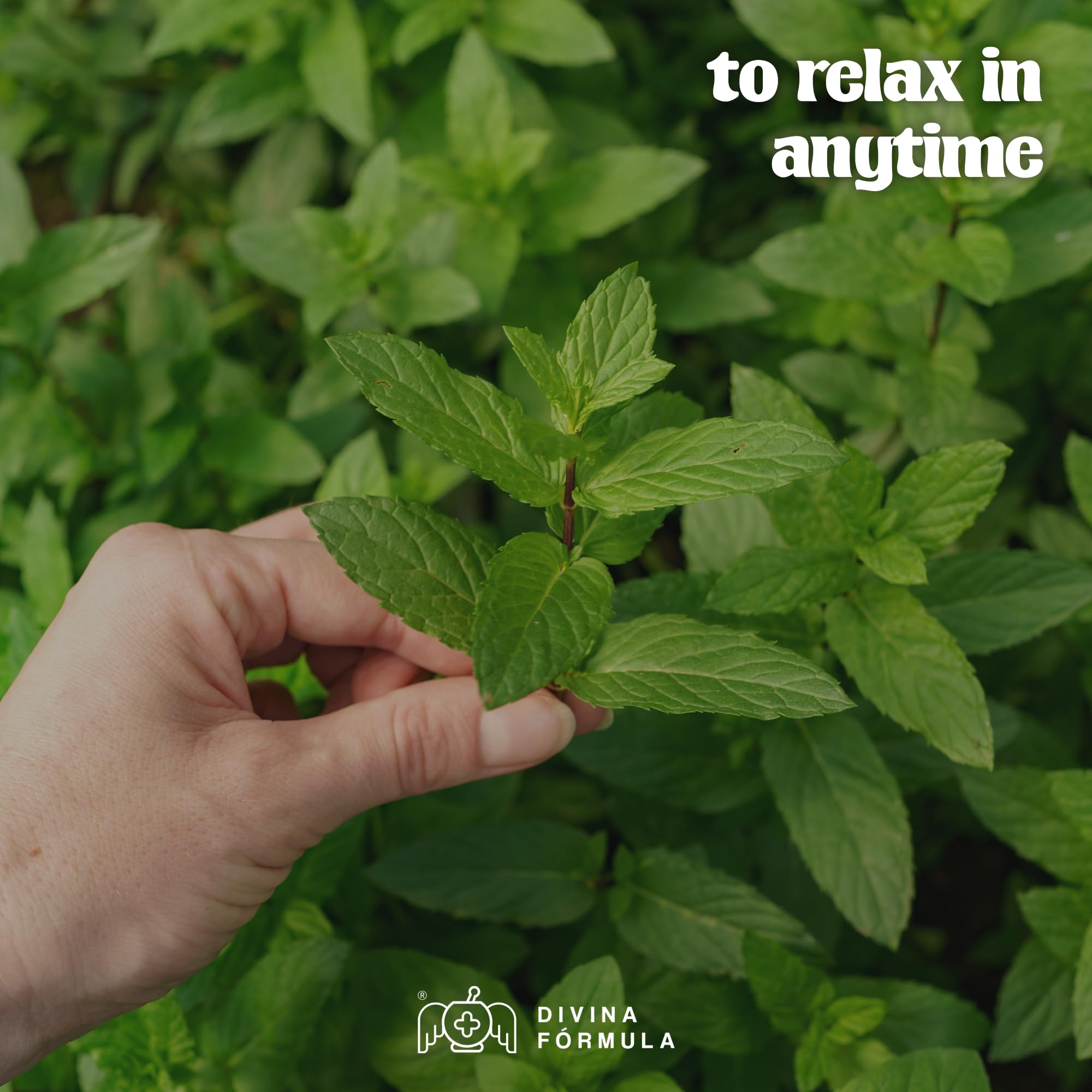 Divina Fórmula - 100% Pure Peppermint Essential Oil - Aromatherapy Oils, Essential Oils - Oil for Massage Divina FÓrmula