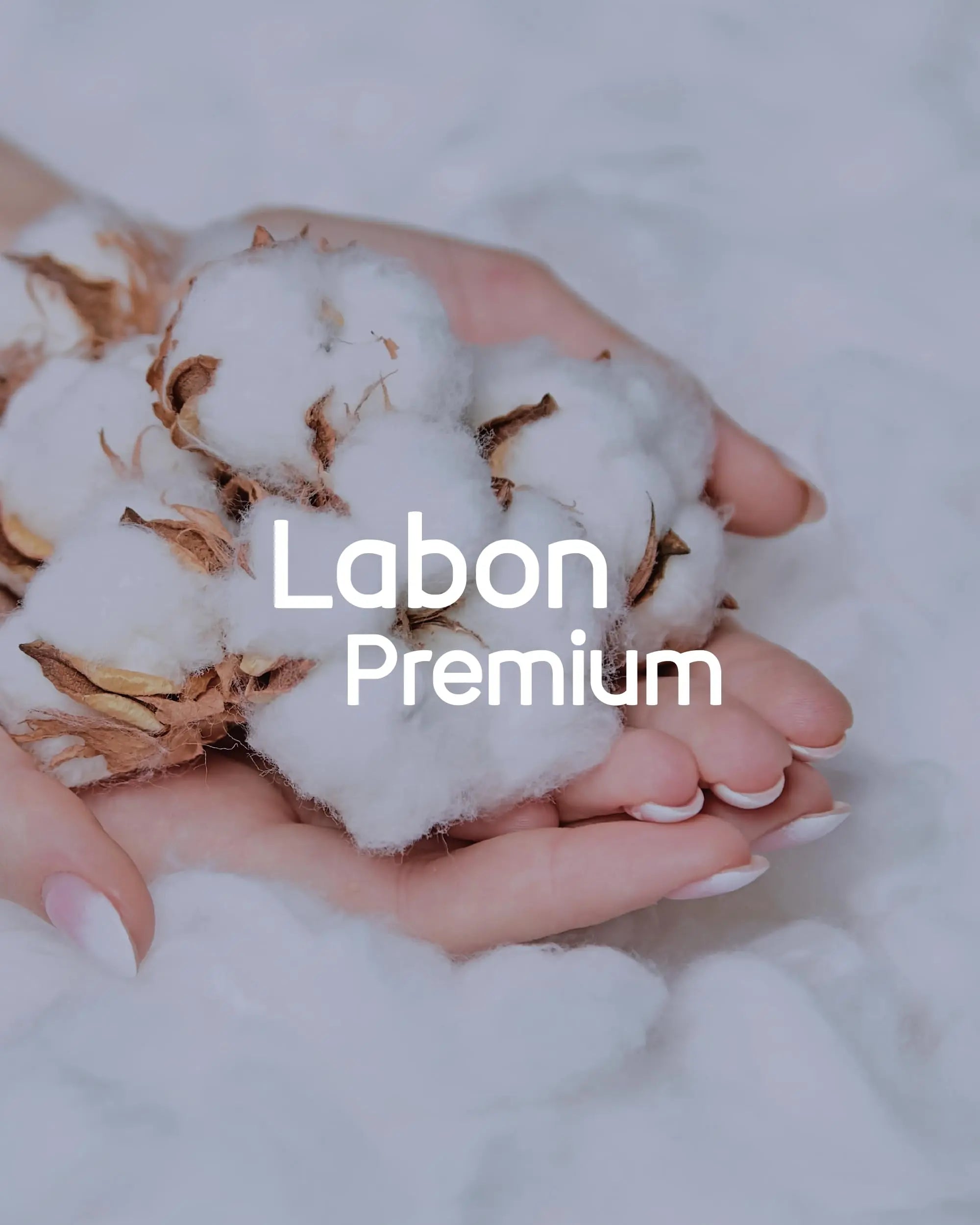 LABON Premium Vegan Organic Sanitary Pads (Regular, 25cm, 32 Counts) - 100% Organic Cotton Cover OCBON