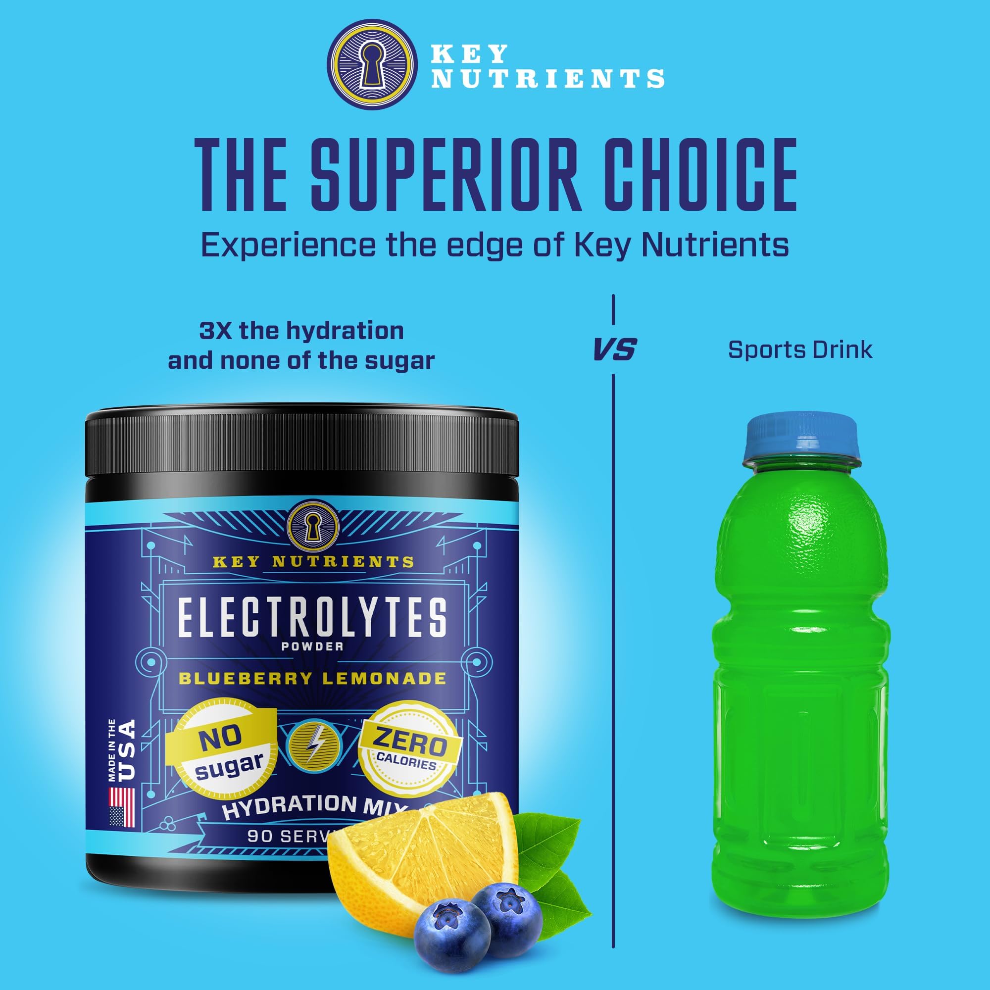 KEY NUTRIENTS Multivitamin Electrolytes Powder No Sugar - Fresh Blueberry Lemonade
