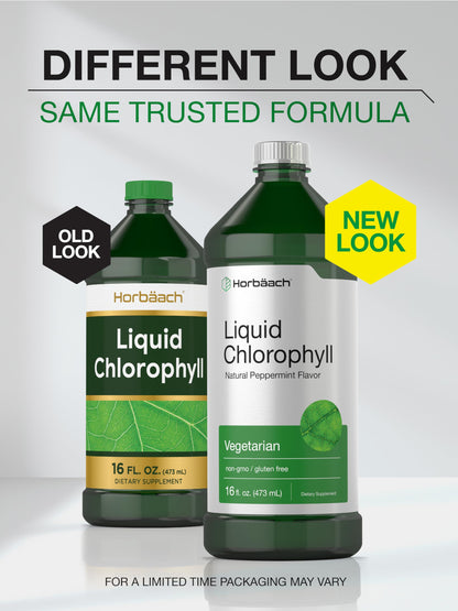 Chlorophyll Liquid Drops 100mg | 32 oz (2 x 16 oz Bottles) | Natural Peppermint Flavor