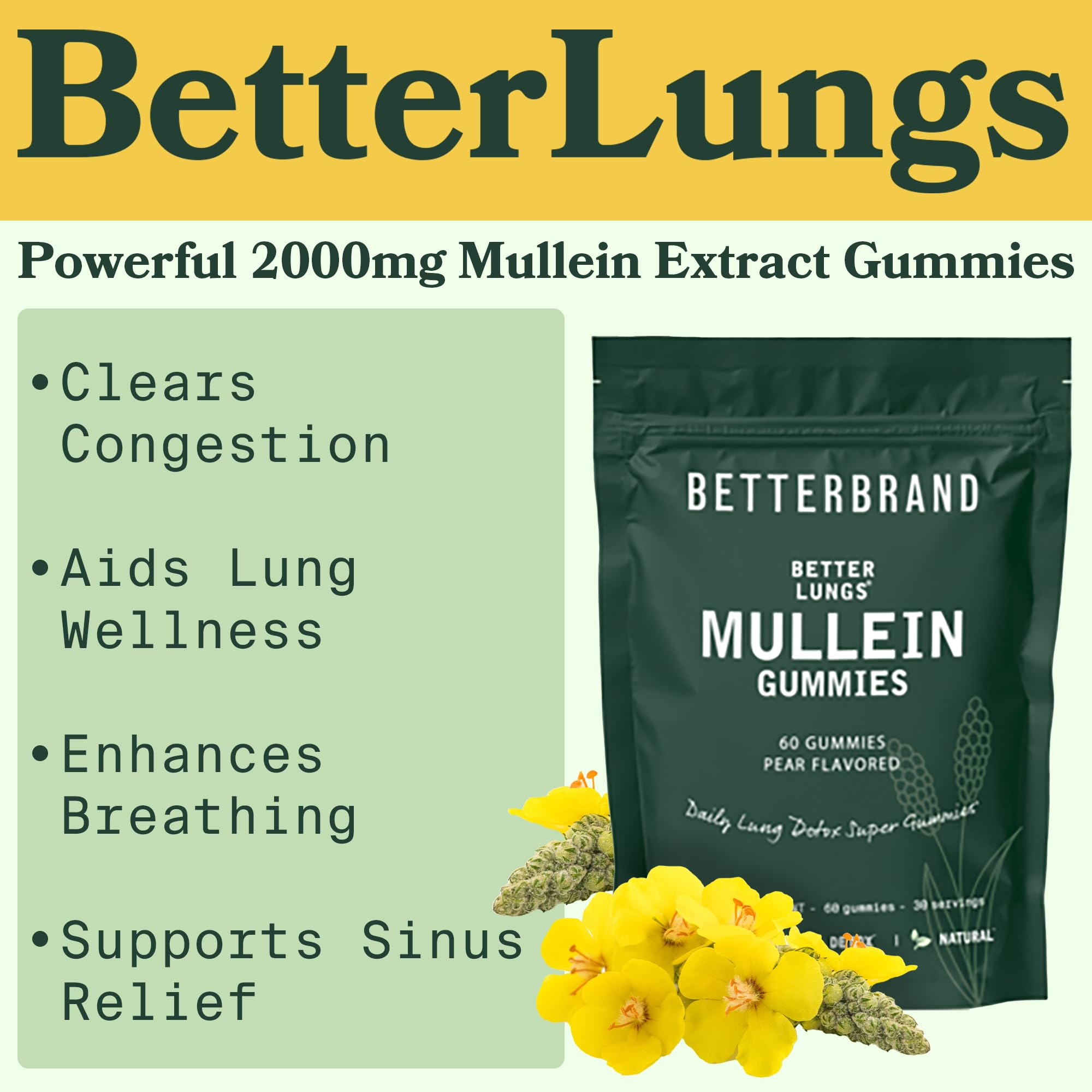 Betterbrand BetterLungs - Daily Respiratory Health Gummies | 1000mg Mullein Leaf herb Betterbrand