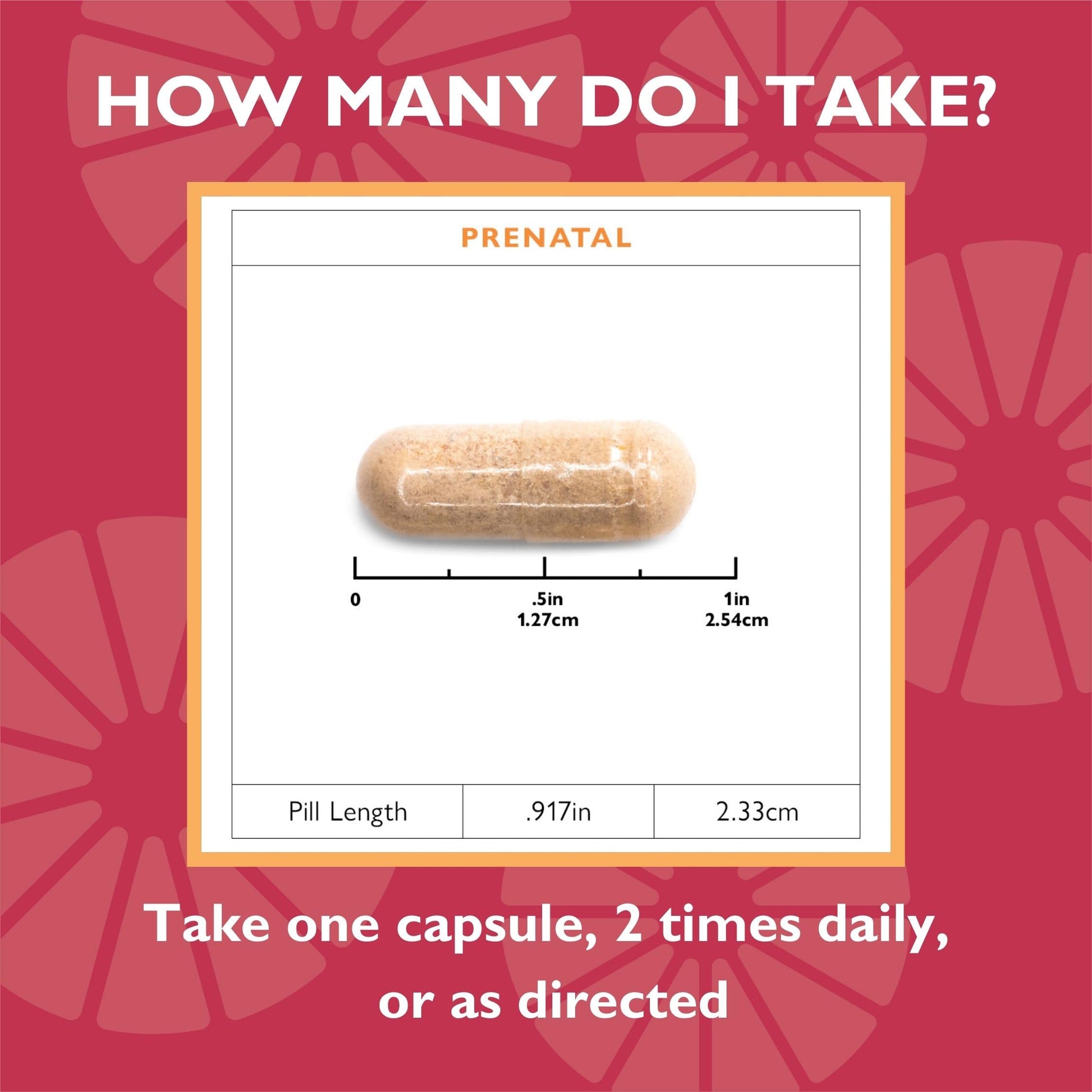 Celebrate Vitamins Bariatric Prenatal Multivitamin Capsules with Folate (Folic Acid), Vitamin A Celebrate Bariatric Supplements