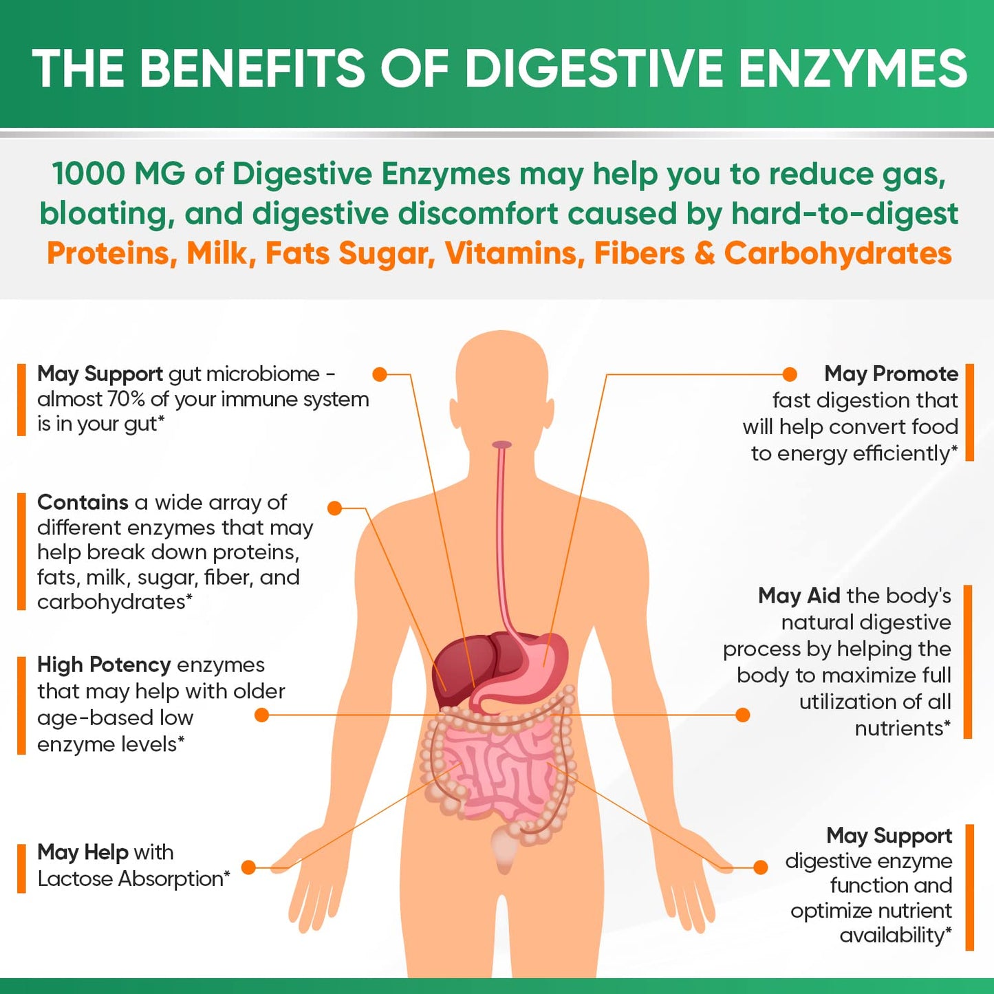 Wholesome Wellness Digestive Enzymes 1000MG Plus Prebiotics & Probioti