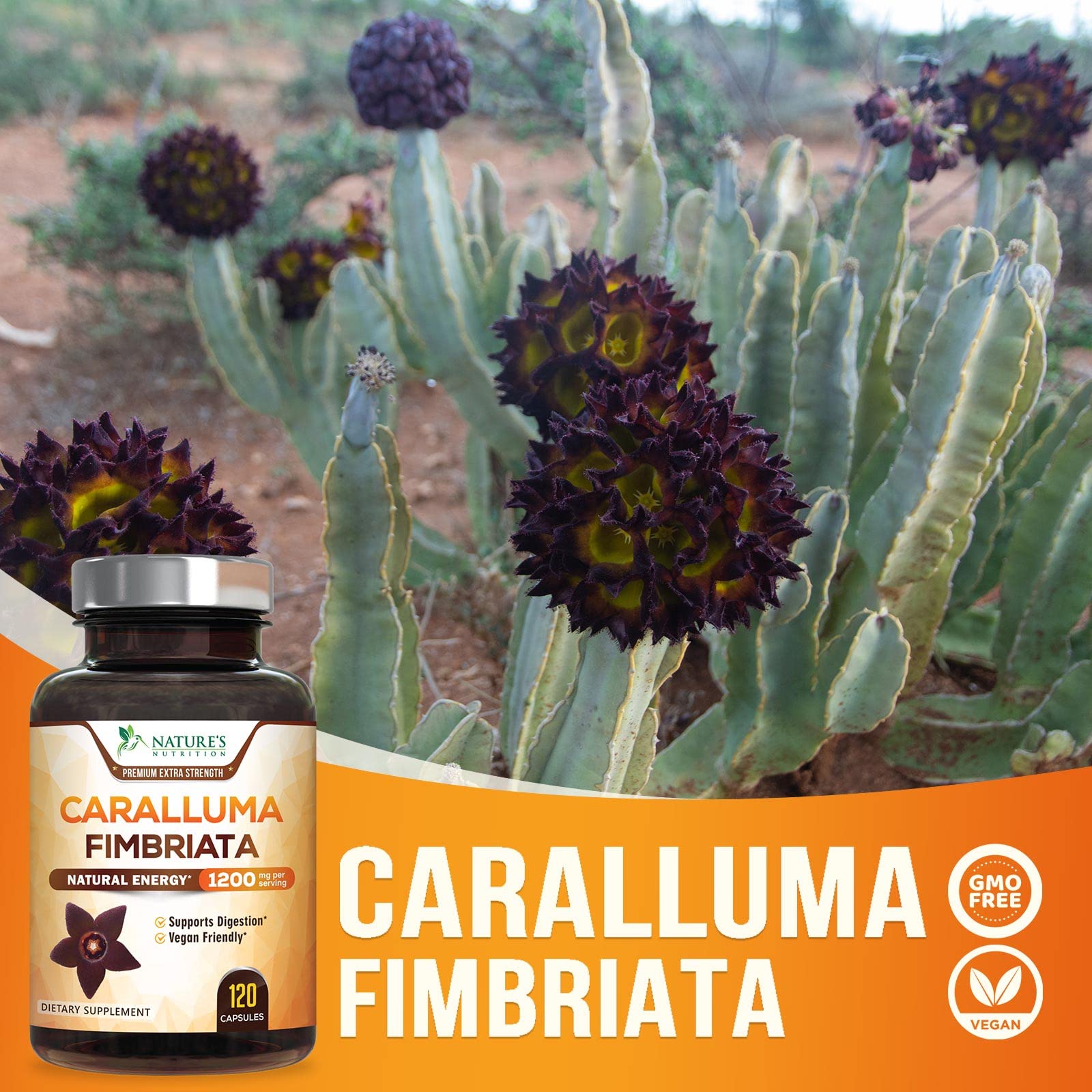 Pure Caralluma Fimbriata Extract Highly Concentrated 1200mg - Natural Endurance Support Nature's Nutrition
