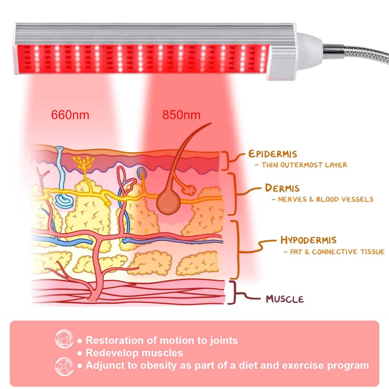 MAINENG Infrared & Red Light Therapy Lamp with Timer, 660nm & 850nm LED - M7685