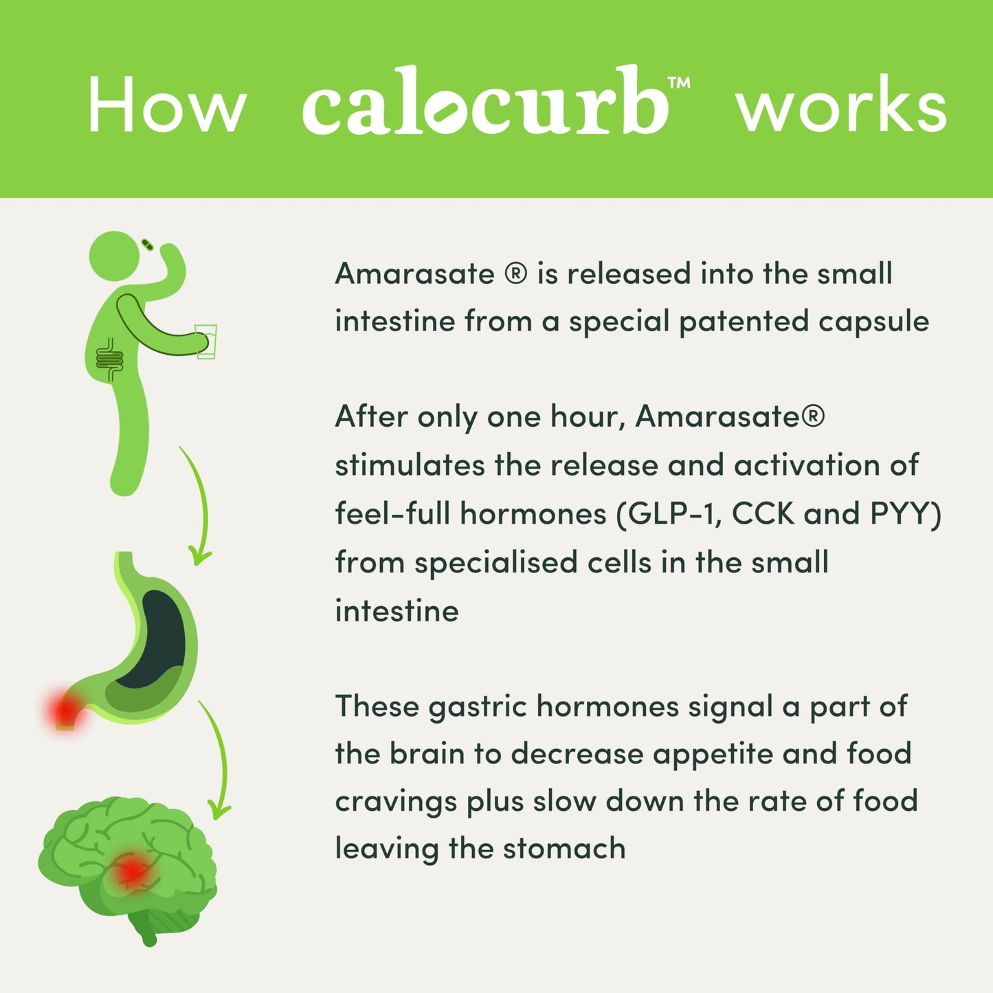 Calocurb Calorie Control Supplement, Natural GLP-1 Activator, 90 Count (1 Month Average