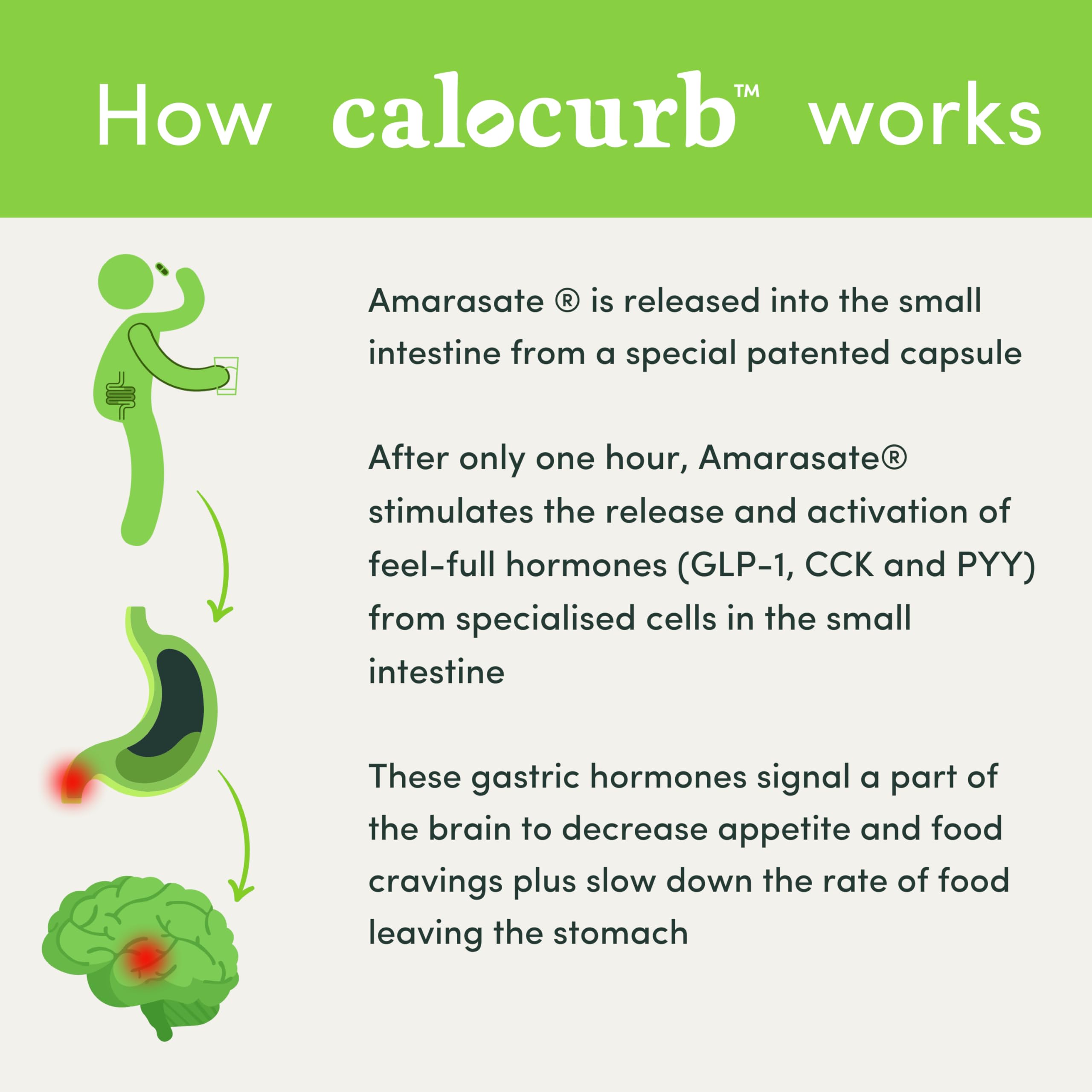 Calocurb Calorie Control Supplement, Natural GLP-1 Activator, 90 Count (1 Month Average Calocurb