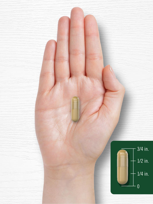 Carlyle Fenugreek Capsules 3000 mg | 300 Count | Non-GMO & Gluten Free Extract