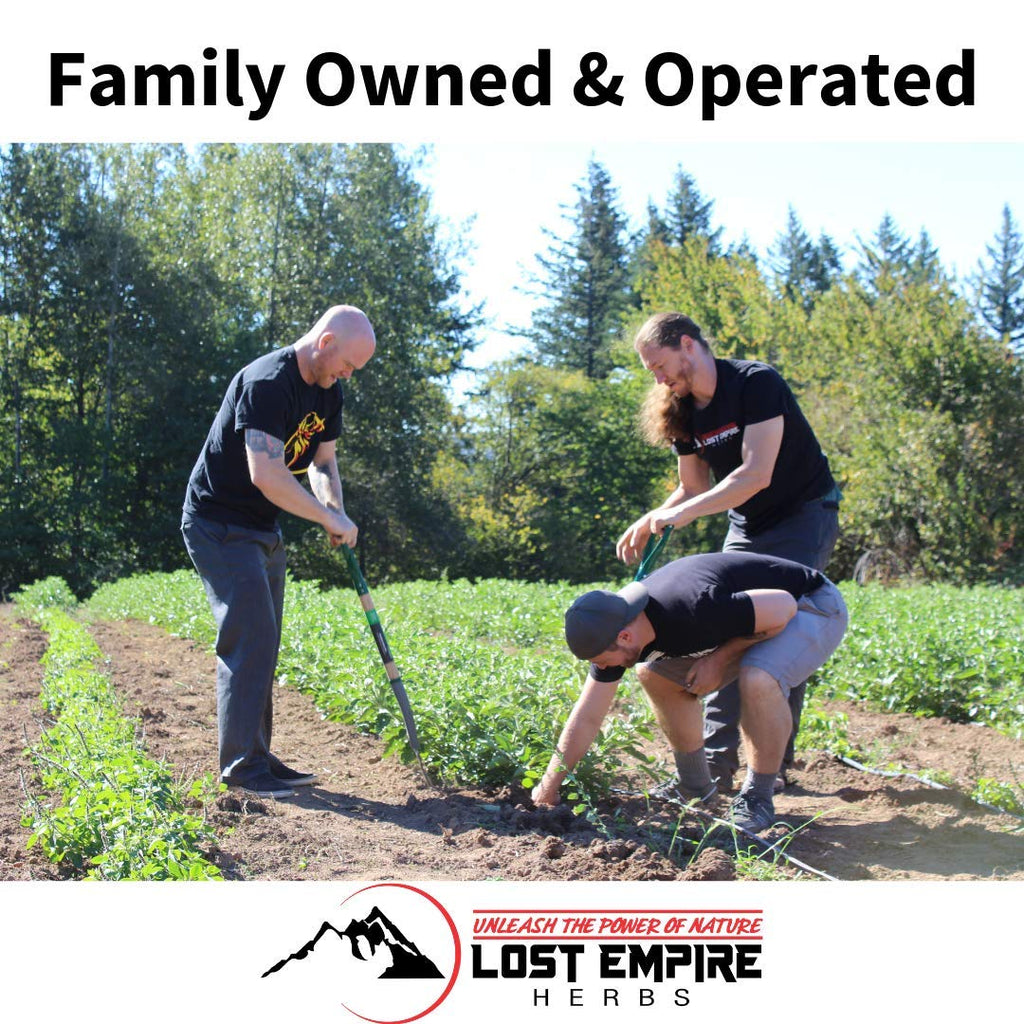 Lost Empire Herb's Pre Workout Herbal Supplement (Powder ~ 100g) || Premium Grade & 100% Pure || Proprietary Blend of Ancient Chinese Herbs Combine to Synergistically Boost Performance