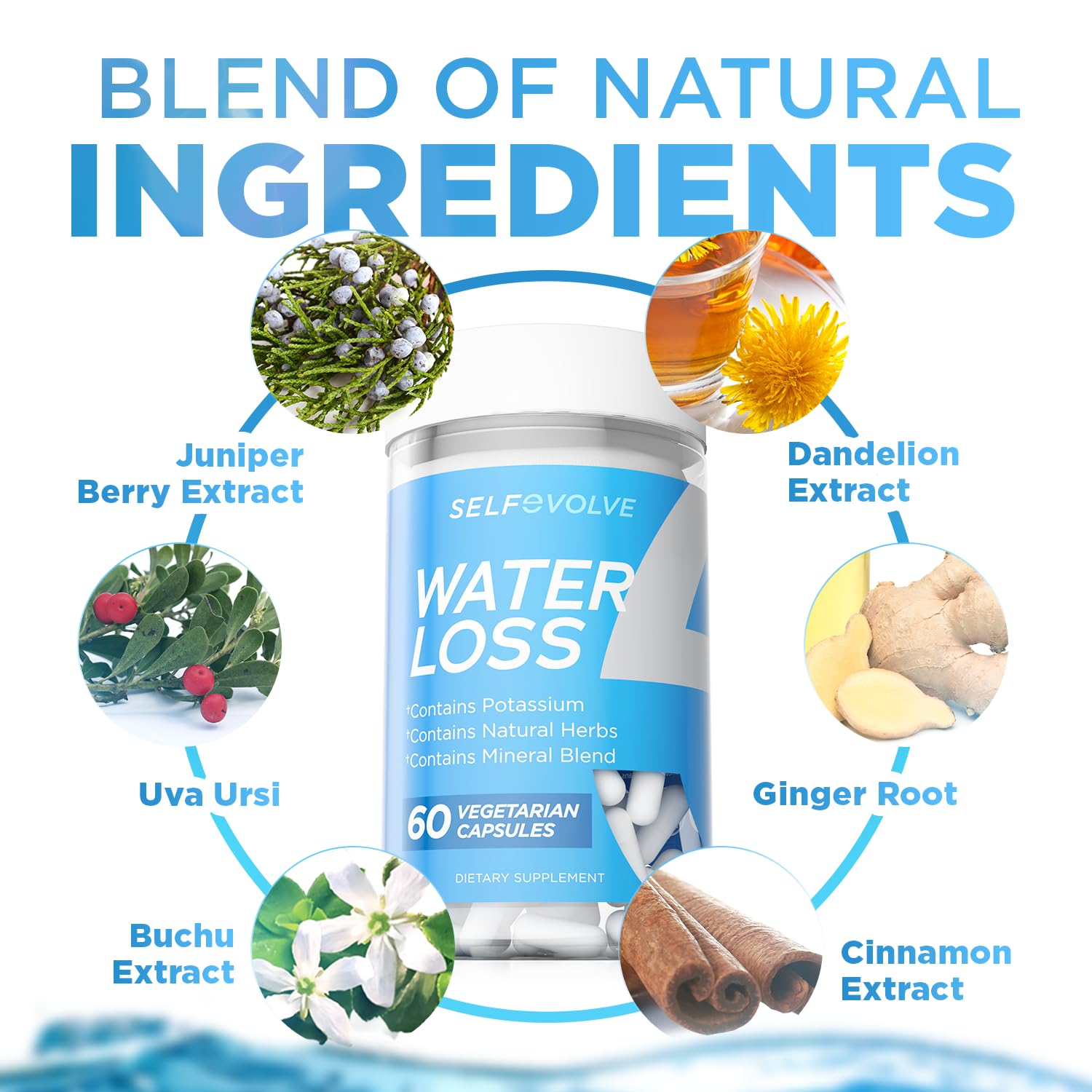selfevolve Water Loss and DIM Supplement Bundle - Natural Water Pills for Reducing Water Retention selfevolve