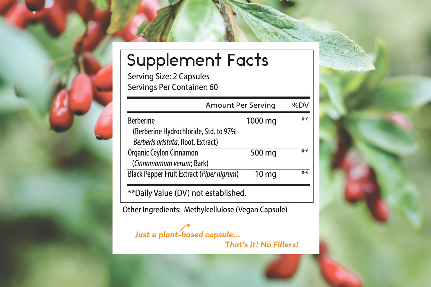 Thomas' all-natural Remedies Berberine 500mg (1000mg Per Serving)- 120 Vegan Capsules
