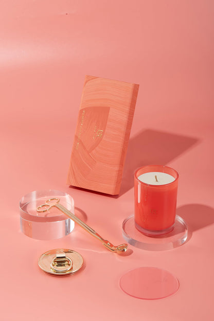 ESNA HOME Luxury Scented Candle Set I Aromatherapy Candles I Holiday Scented Candles Gift Set