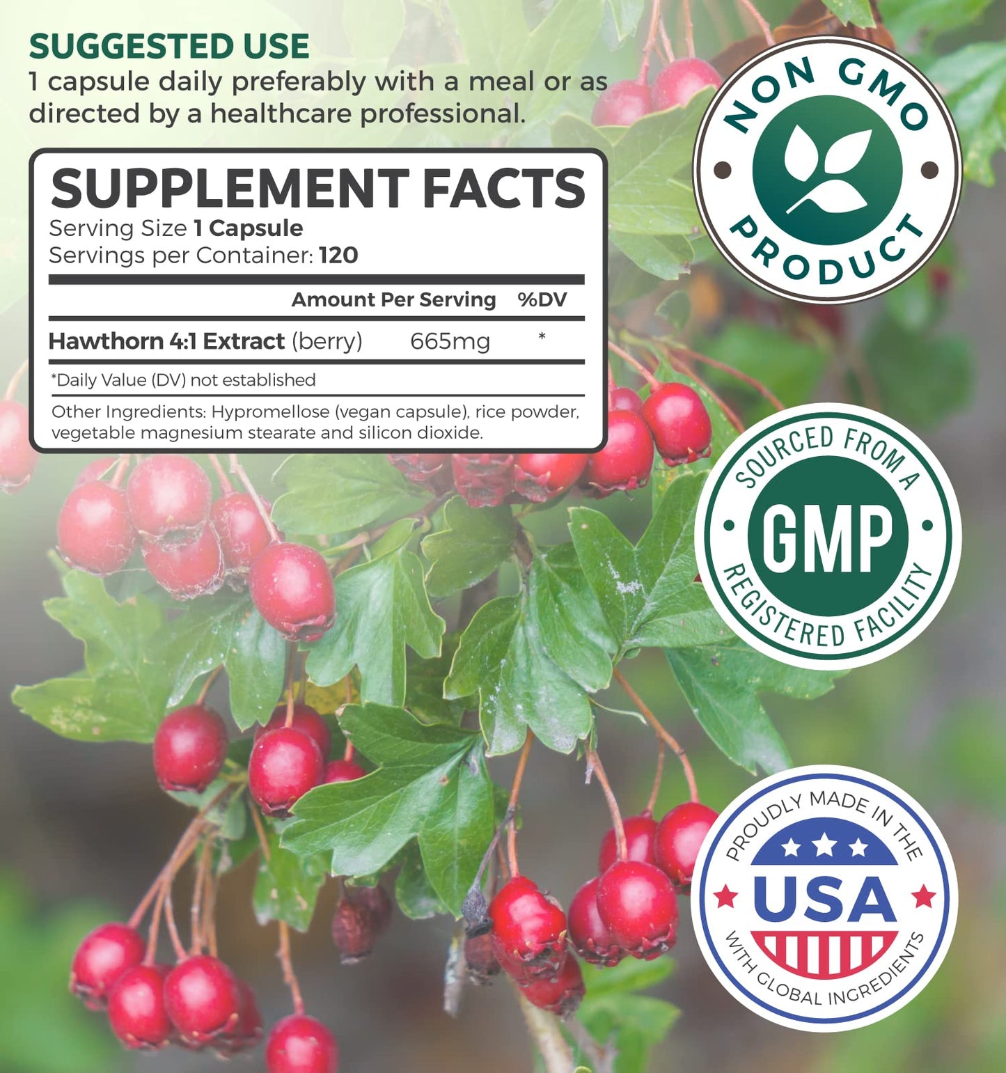 Hawthorn Berry Capsules - 4 Month Supply Digestion & Heart Health Supplement