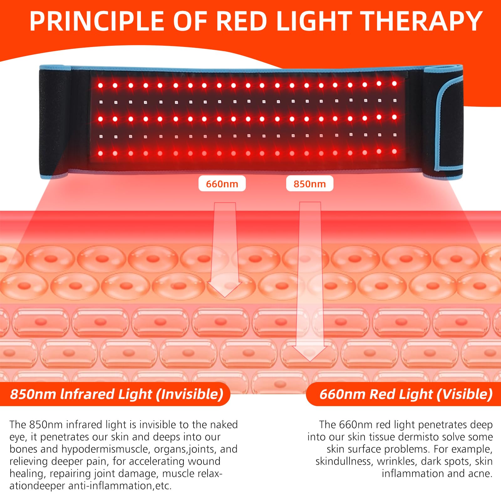 Red Light Therapy Belt, 660&850nm 3 -in-1 Big Chips Near Infrared Therapy Wrap for Body HEDYNSHINE