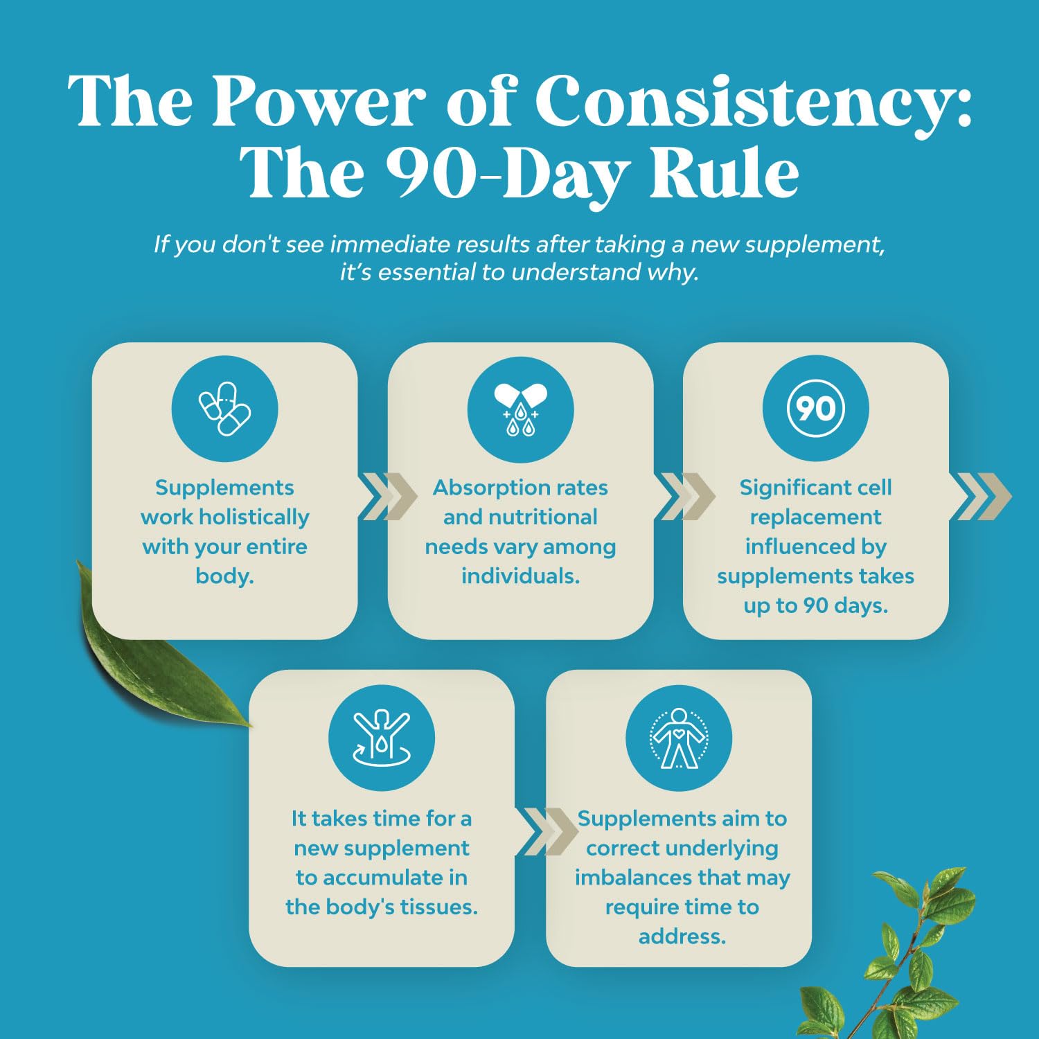 Nootropics Brain Support Supplement - Mental Focus Nootropic Memory Supplement Huntington Labs