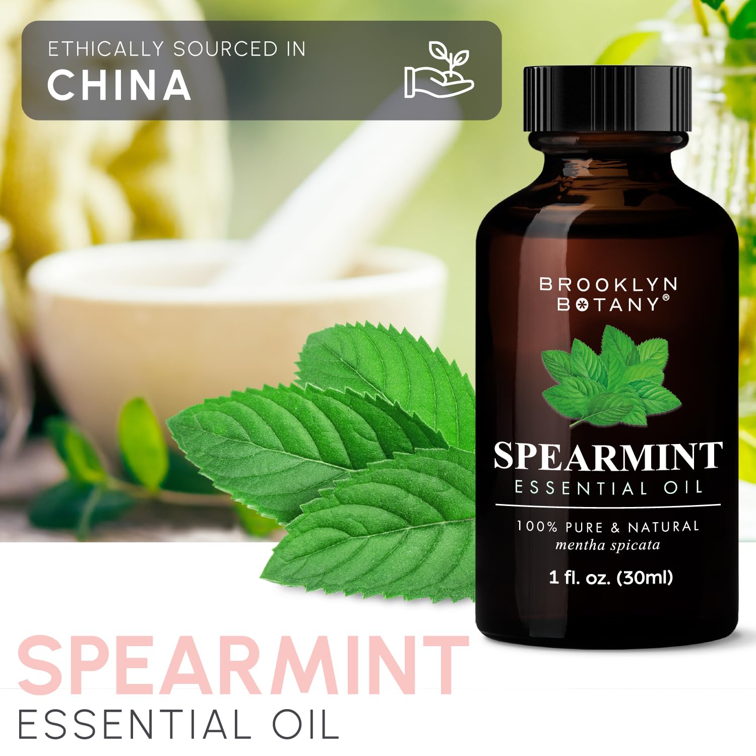 Brooklyn Botany Spearmint Essential Oil – 100% Pure and Natural – Premium Grade Oil Brooklyn Botany