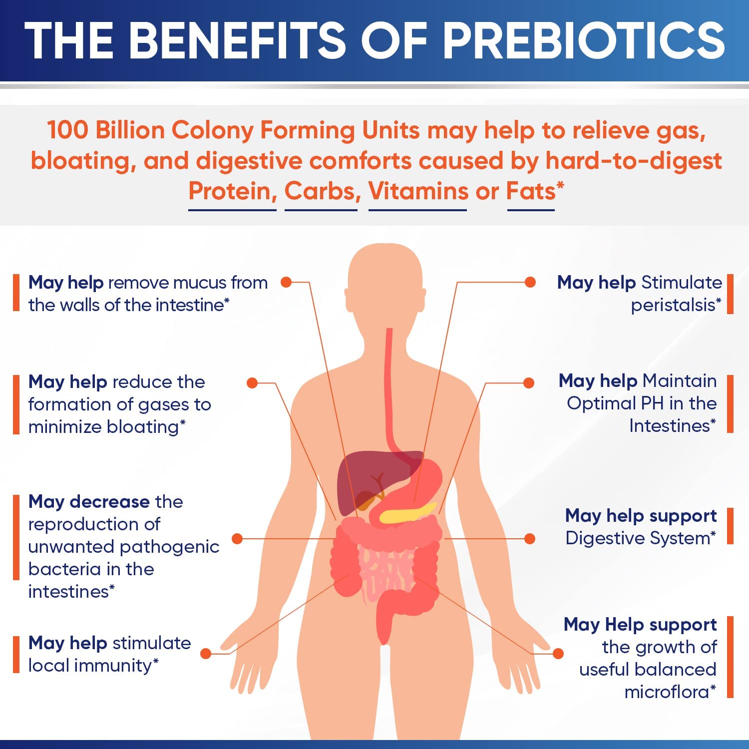 Organic Probiotics 100 Billion CFU, Dr Formulated Probiotics for Women, Probiotics Wholesome Wellness