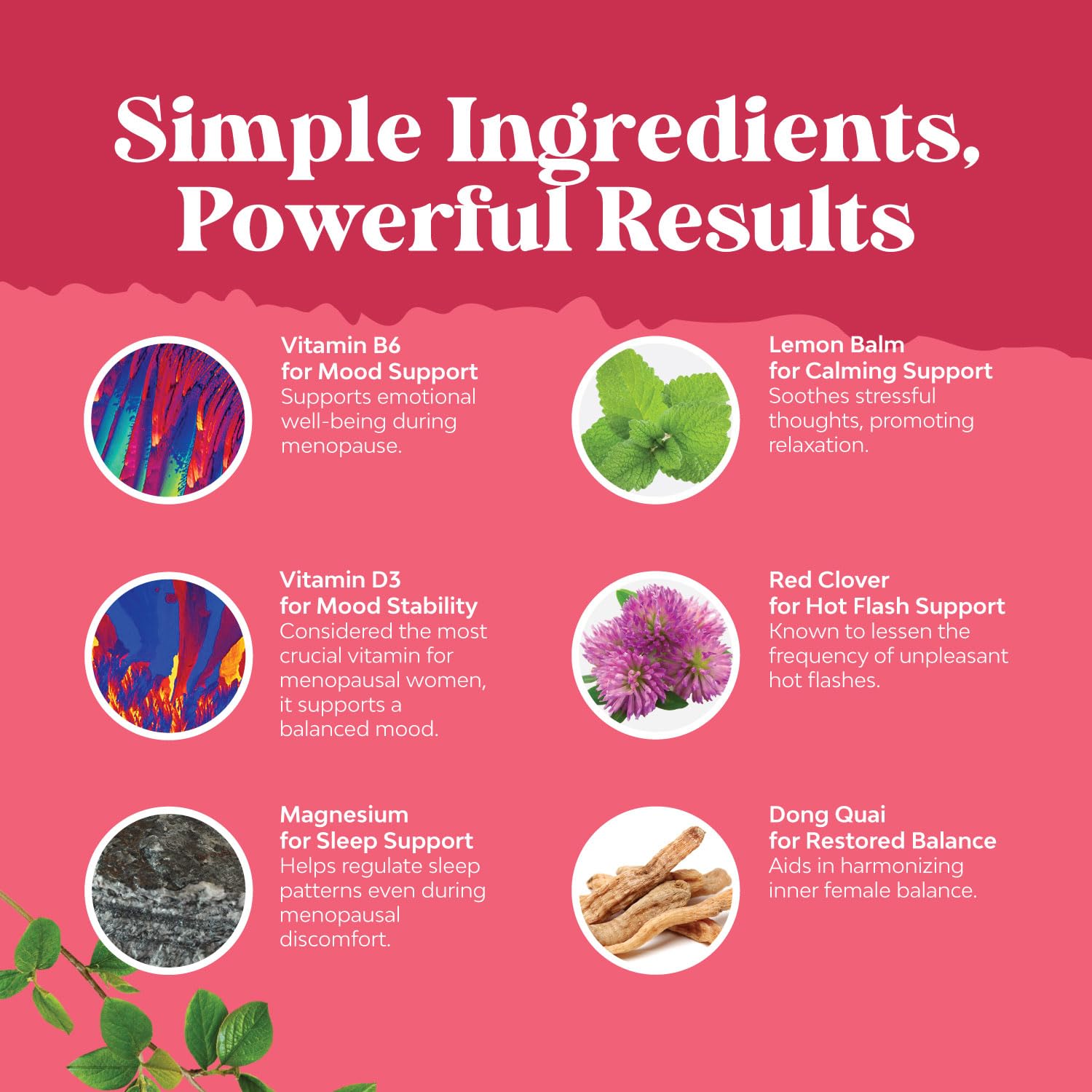 Natures Craft Bundle of Herbal Menopause Supplement and Extra Strength Saw Palmetto for Women Natures Craft