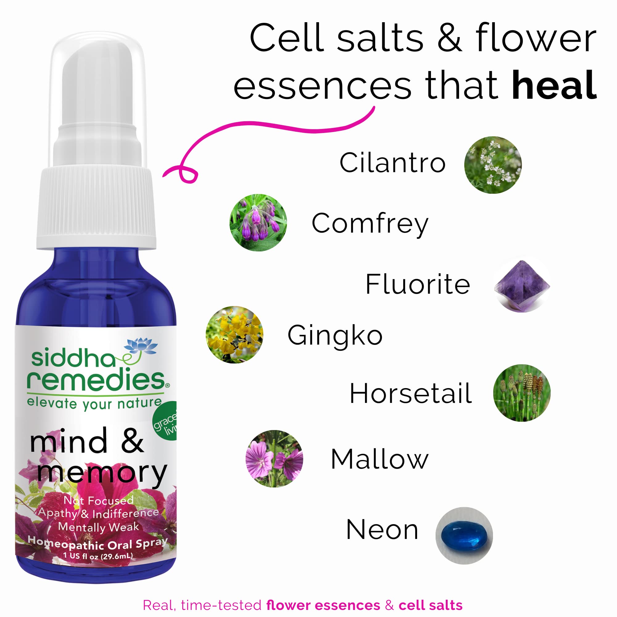 Siddha Remedies Mind & Memory Spray for Apathy, Indifference & Low Focus Siddha