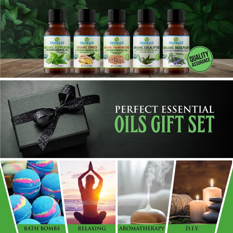 USDA Organic Ginger Essential Oil – Therapeutic Grade- Diffuser Oil - 100% All Natural - with Glass Dropper