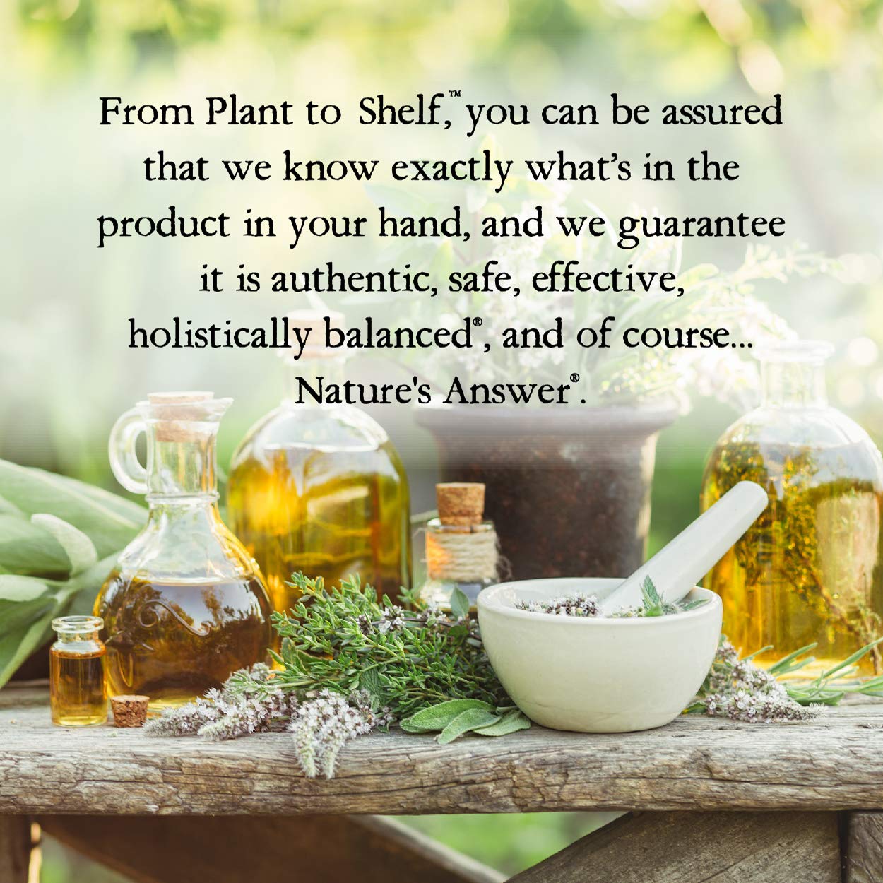 Nature's Answer Female Complex 800mg 90-Capsules | Menopause Symptom Support Nature's Answer