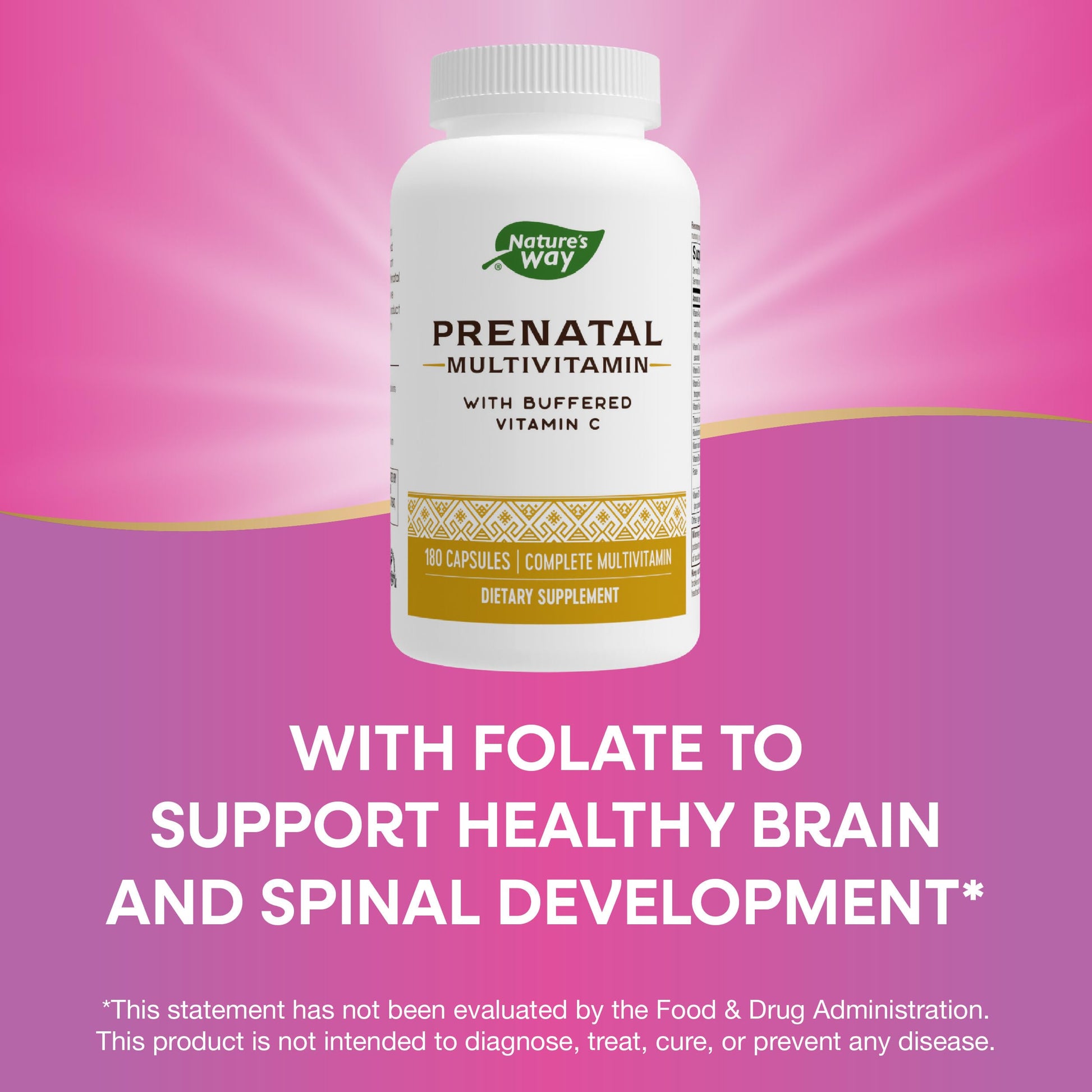 Nature's Way Prenatal Multivitamin, with folate for Healthy Brain and Spinal Development Nature's Way