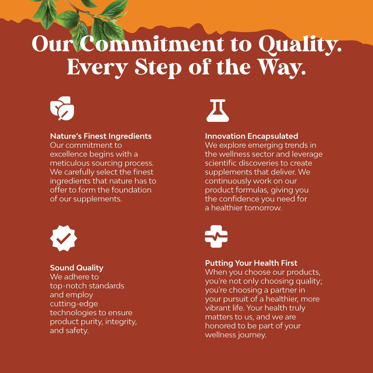 Natural White Kidney Bean Extract - White Kidney Bean Energy Booster AMPK Activator Natures Craft