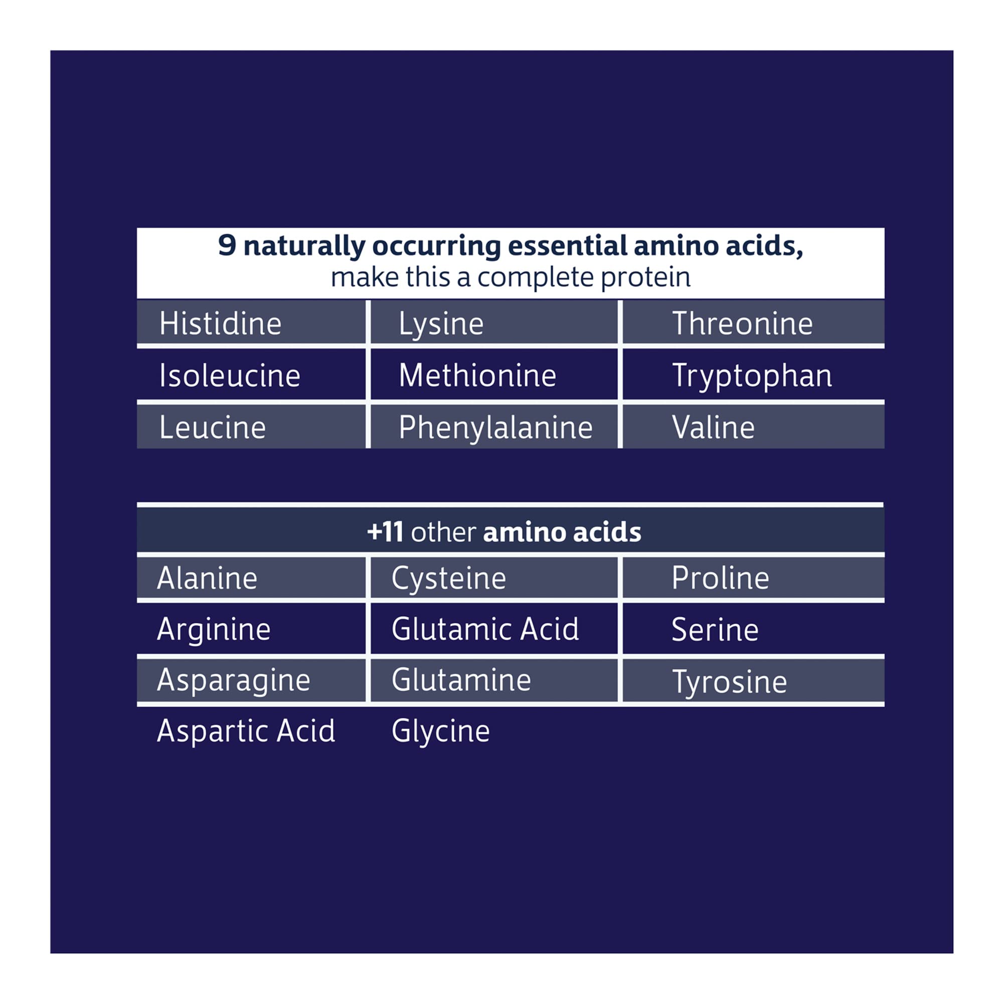 Biochem 100% Whey Sugar-Free Chocolate 20g, 12.5oz, Certified Vegetarian, Certified Glut Biochem