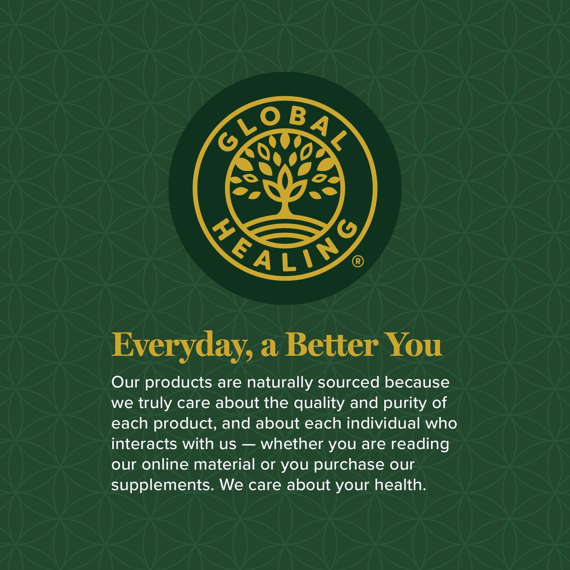 Global Healing Candida Cleanse (Mycozil) - Supports Detoxification for Natural Candida Cleanse Global Healing Center