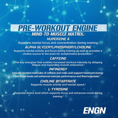 EVL Intense Pre Workout with Creatine - Pre Workout Powder Drink for Lasting Energy Focus