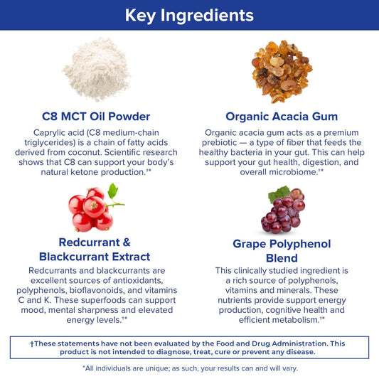Gundry MD MCT Wellness Powder to Support Energy, Ketone Production and Brain Health
