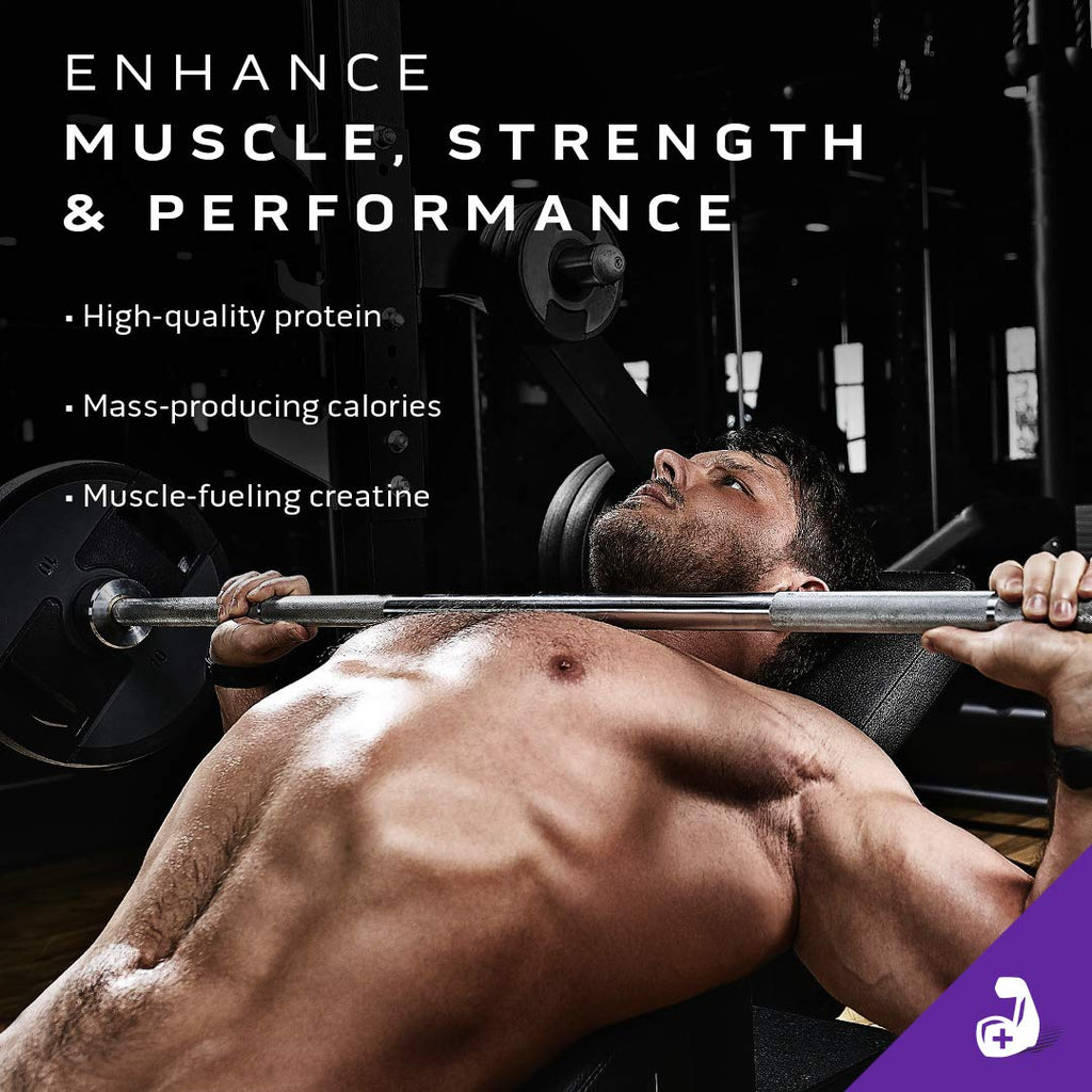 Mass Gainer MuscleTech 100% Mass Gainer Protein Powder Protein Powder for Muscle MuscleTech