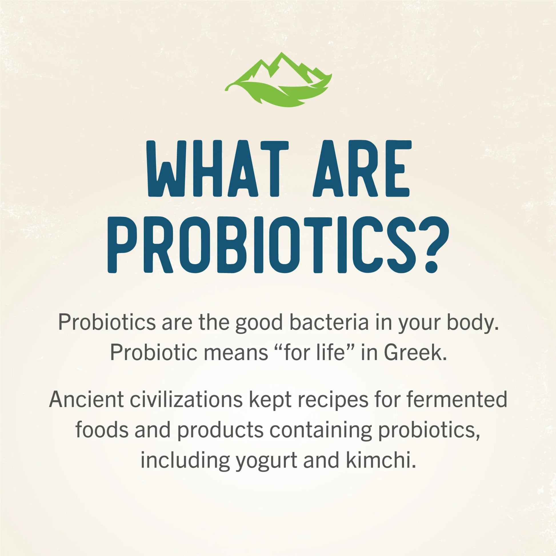 RidgeCrest Herbals Belly Be Happy - 60 Capsules - Digestive Comfort Support - Non-GMO RidgeCrest Herbals