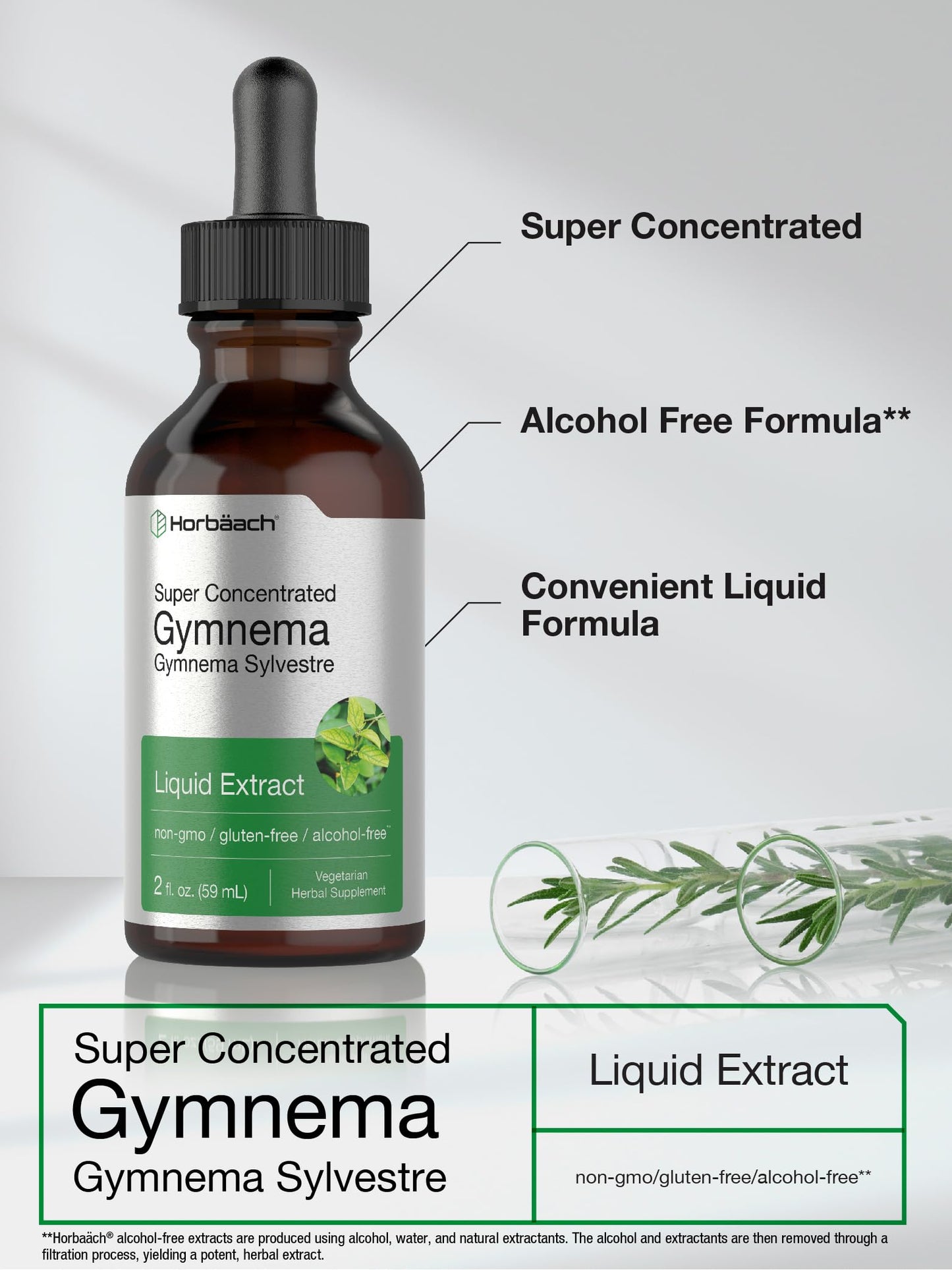 Gymnema Sylvestre Liquid | 2 fl oz | Alcohol Free Supplement | Super Concentrated