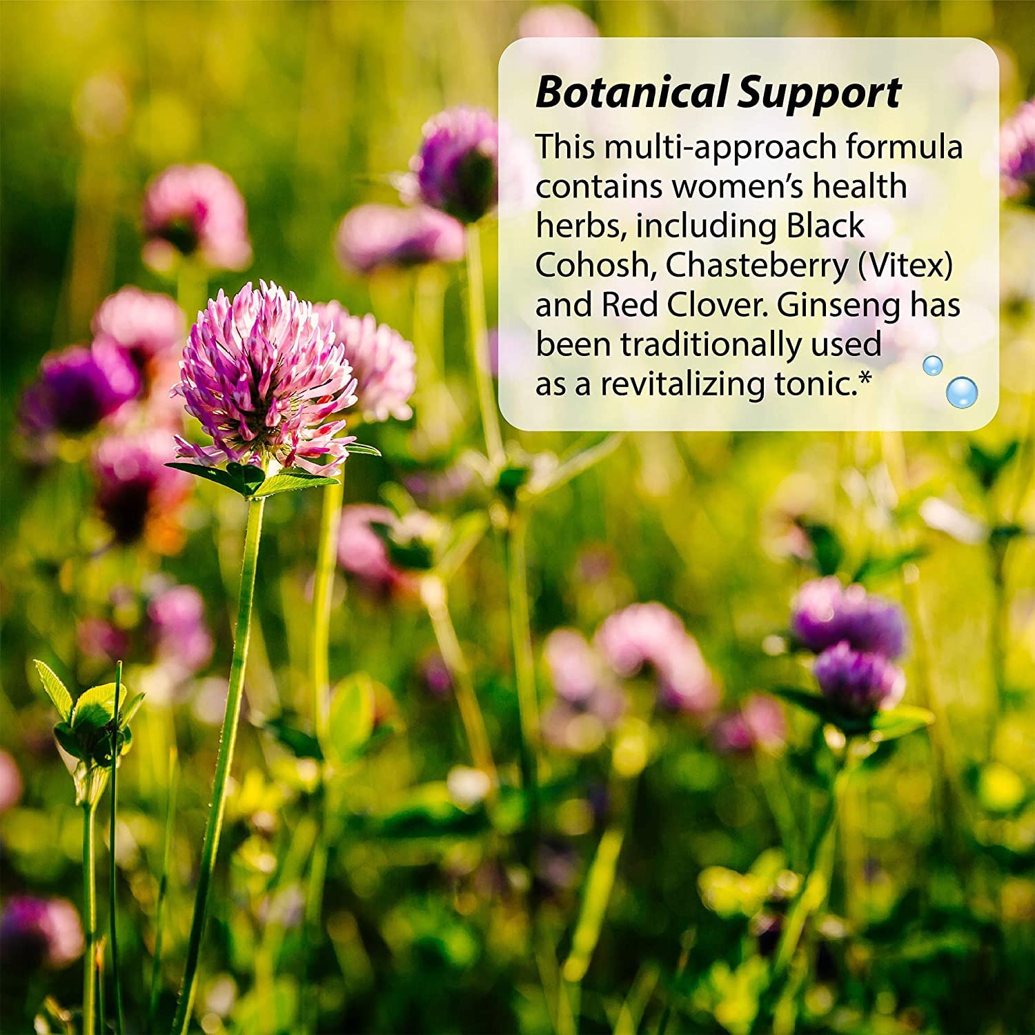 Irwin Naturals EstroPause Menopause & Women's Health Support Supplement Irwin Naturals